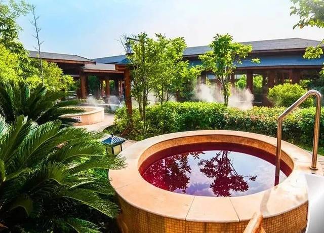 1760409980420761.jpg 2025_03_25_11_10_IMG_1896.JPG