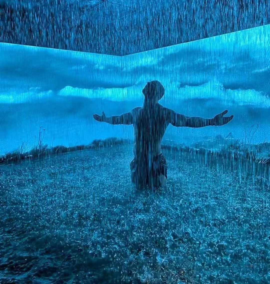 1764640259416126.jpg 2025_12_02_09_49_IMG_6385.JPG